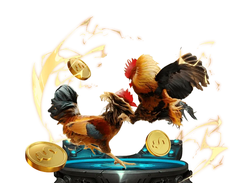 Đá gà trực tuyến bk 8